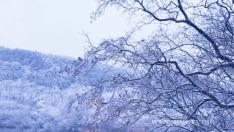 峄州印象 | 青檀雪境
