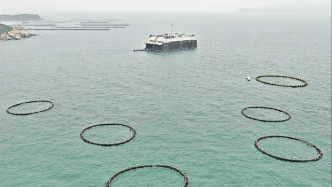 灣區(qū)打造國家海洋經(jīng)濟發(fā)展核心引擎