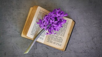 影片票房因一方被執(zhí)行，其他出品方如何追討？