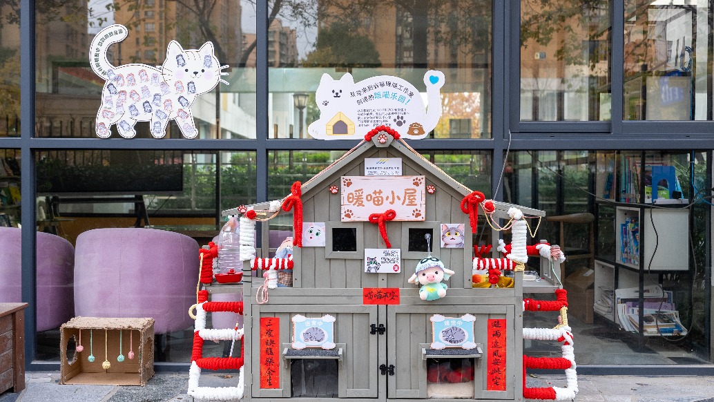 愛心具象化了:杭州一學(xué)校為校園流浪貓搭建智能暖喵小屋