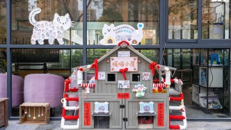 愛(ài)心具象化了：杭州一學(xué)校為校園流浪貓搭建智能暖喵小屋