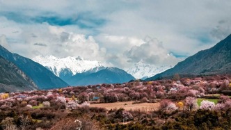 西藏日?qǐng)?bào)社論 | 真抓實(shí)干確?！笆逦濉遍_(kāi)好局起好步