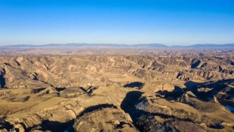 洋芋開(kāi)花賽牡丹
