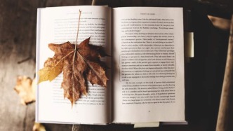 电影文学剧本创作中,真实故事是否均属于公知素材?