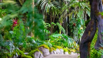 天太冷？藏在濟(jì)南的“熱帶秘境”，承包你一冬的綠意和浪漫！