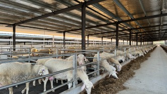 南昌“菜籃子”基地守護(hù)“舌尖上的安全”