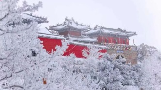 雪落岱宗：泰山雾凇的冬日限定浪漫