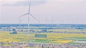 《科学》杂志评出2025年度十大突破