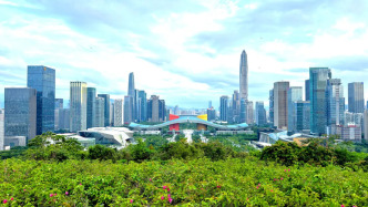 強化內(nèi)需主導(dǎo)，中央經(jīng)濟工作會議給深圳帶來哪些啟示？