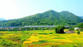 看！四會這五年的好“豐”景