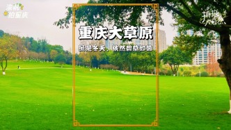 重慶中央公園陽光大草坪：冬天依然碧草如茵，被譽(yù)重慶的呼倫貝爾