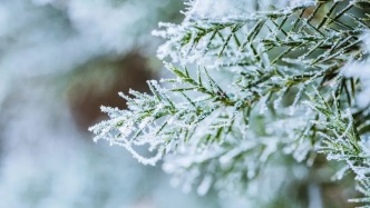 安全生产｜冬季低温雨雪冰冻天气来袭，如何做好伤害防控？