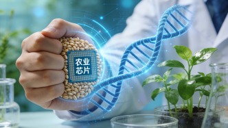 把“農(nóng)業(yè)芯片”緊緊攥在我們手中