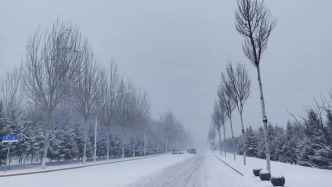 一城玉色一城詩 長春冬日大雪美景上線