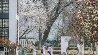 【招聘】海淀10所中小學急需崗位，快來看看~