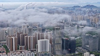 山東日照：數(shù)智為翼賦能“工業(yè)強(qiáng)市”