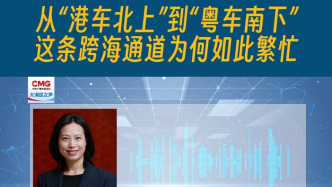 从“港车北上”到“粤车南下”，这条跨海通道为何如此繁忙？