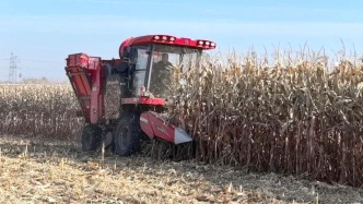 “藏糧于技”種出高產田——長春市玉米保護性耕作蓄力豐產一線調查