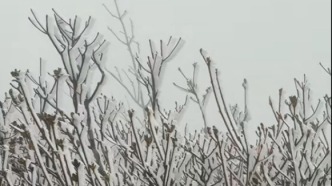 冷空氣正在影響廣東，明晨還會更冷？