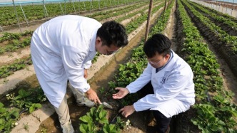 高校青年教师：把论文写在盐碱滩上