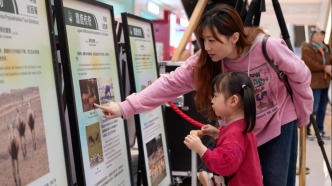 麋鹿來啦！麋鹿苑攜手亦莊天街解鎖文商旅融合新玩法