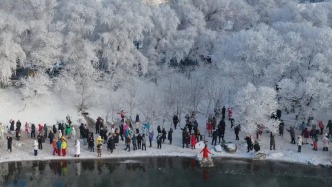 北国盛典！吉林雾凇五星级“加冕”，江城坠入白色幻梦