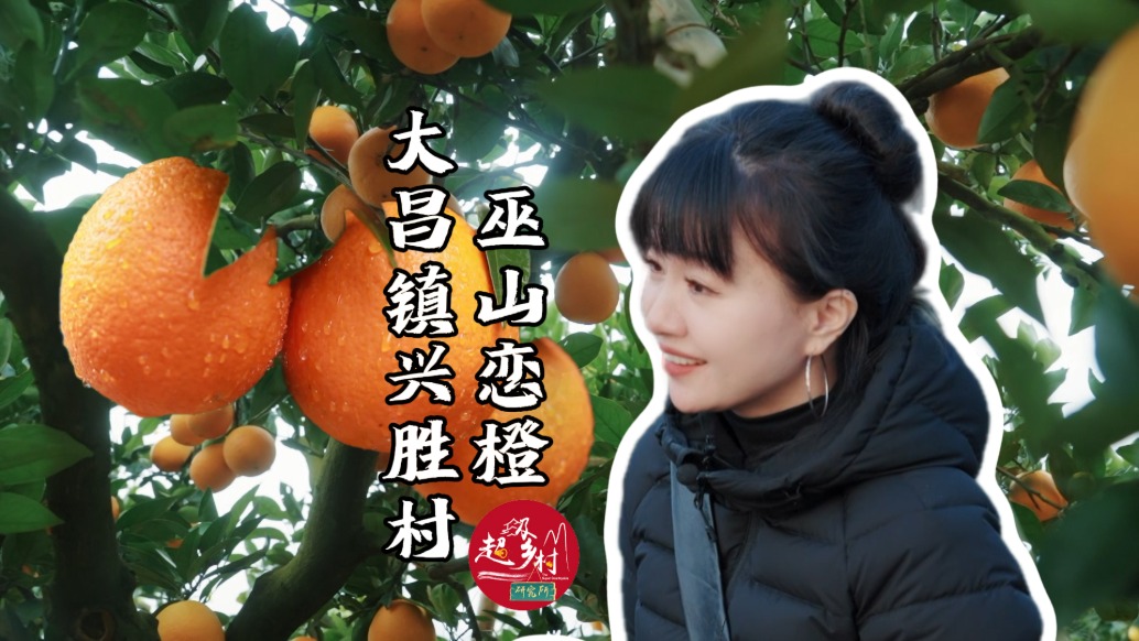 重慶這個(gè)低調(diào)小城，不止有烤魚，橙子的甜蜜滋味同樣讓人著迷