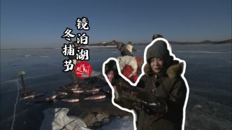 一網(wǎng)拉起幾萬斤魚是什么體驗？在鏡泊湖體驗冰層下抓魚的古老智慧