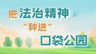把法治精神“种进”口袋公园，让统计法在城市绿地生根发芽