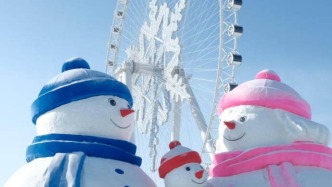 冰雪世界里，纯净无暇，万物皆被覆盖，宛如童话中的仙境