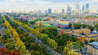 吉林爆火，IP井喷