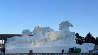 邂逅冰雪之美！长春世界雕塑园“冰雪艺术天地”正式开园