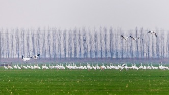 山东省东营生态环境监测中心顺利通过资质认定现场评审