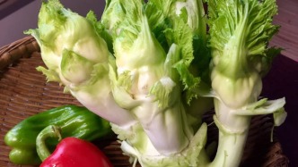 儿菜和红缨子萝卜｜蔬菜的四季