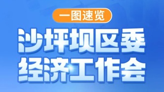 一圖速覽 | 沙坪壩區(qū)委經(jīng)濟(jì)工作會