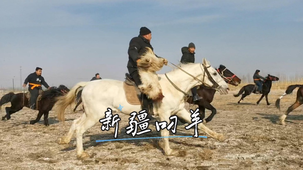 冬游新疆，在博斯腾湖观看叼羊活动，领略游牧民族的豪情