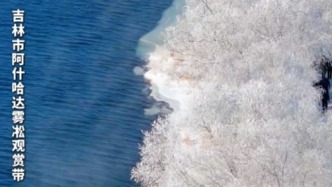 -20℃的浪漫，博主实拍仙境般的吉林雾凇岛，万人共赴冰雪之约