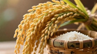 除了献血，血液还能从哪来？水稻、烟草、马铃薯…你能想到哪一个？