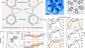 通過極弱力測量揭示氫鍵中的核量子效應(yīng)