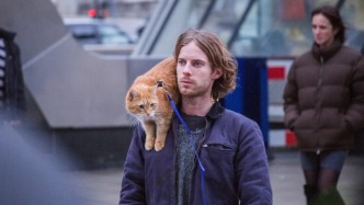 暴利的寵物，大廠的墳墓