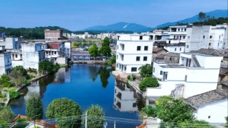 在肇庆，“杏”福满满，锦上添“花”！