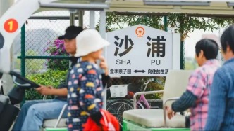 探寻沙浦之美：自然野趣与地道美食之旅