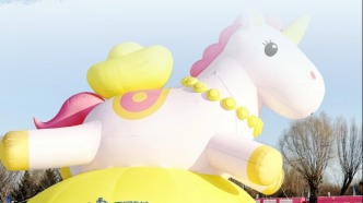 嬉冰玩雪看演出，不夠？套中大鵝直接抱走