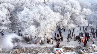 南方的小伙伴，又被吉林雾凇惊艳到了