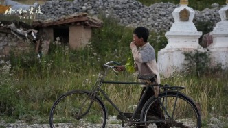 月光下的救赎：一部藏地电影如何以童年之痛照见人性普世之光