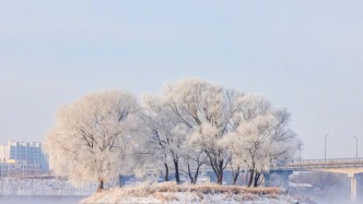 松花江畔几十里，雾凇奇观等你来！