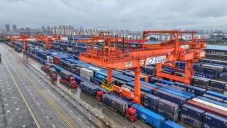 沙坪坝：元旦假期 西部陆海新通道发运量同比增长128%