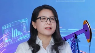 吴淑红及HiSimPro软件研发团队｜以软件之魂 铸能源安全之盾