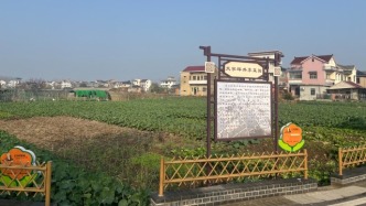 和美乡村的“三重密码”