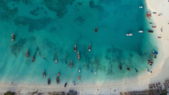 海洋如何在COP30上真正“走進(jìn)議程”？